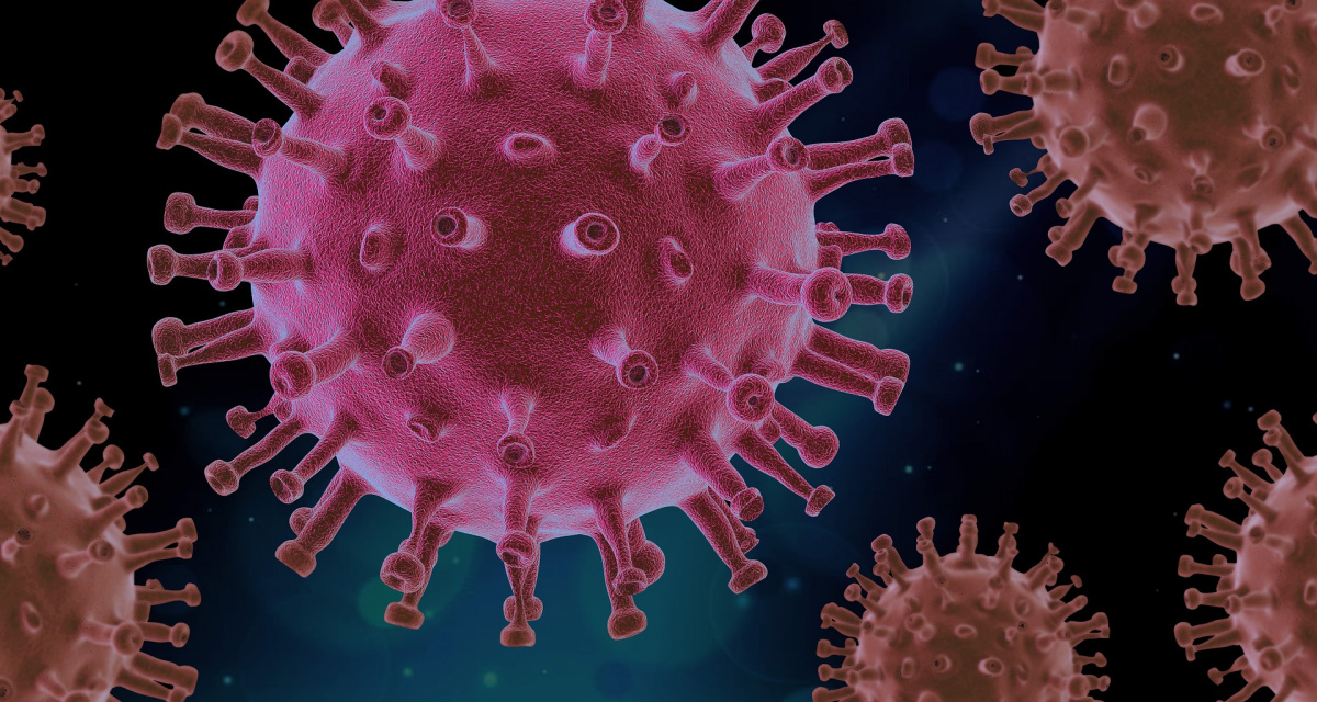 Реферат: Вирусы и бактерии. Проблемы СПИДа